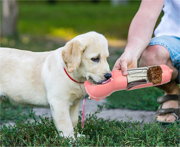 Pet Bouteille D'eau Portable