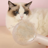 Lux Brosse pour animaux de compagnie autonettoyante