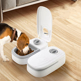 Distributeur de nourriture pour chien et chat